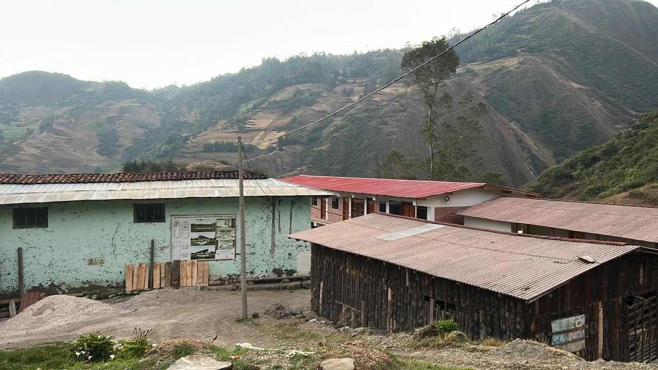 Campo agrícola y productivo